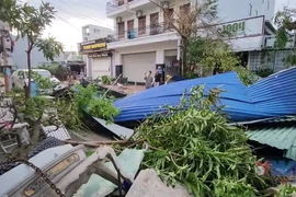 Gia Lai thiệt hại nặng nề sau khi bão số 13 đổ bộ