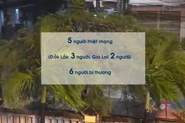 Thiệt hại ban đầu do bão số 13 ở Đắk Lắk và Gia Lai