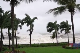 Bão số 13 gây thiệt hại nghiêm trọng cho Gia Lai và Quảng Ngãi 