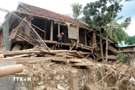 Từ một bản trù phú, có điều kiện kinh tế nhất xã Mỹ Lý (Nghệ An), bản Xiềng Tắm sau trận lũ lịch sử trở nên xơ xác, hoang tàn. (Ảnh: Văn Tý/TTXVN)