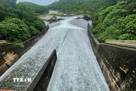 Ảnh minh họa. (Ảnh: Đoàn Hữu Trung/TTXVN)