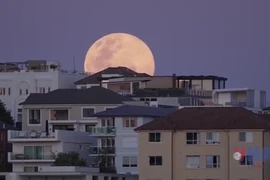 Thế giới “đắm mình” trong siêu trăng lớn nhất năm 