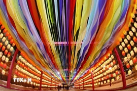 Đèn lồng được thắp sáng rực rỡ dịp tết Nguyên đán tại tỉnh Hà Bắc, Trung Quốc. (Ảnh: THX/TTXVN)