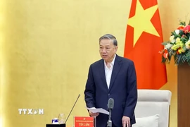 Tổng Bí thư Tô Lâm, Trưởng Đoàn kiểm tra phát biểu ý kiến. (Ảnh: Doãn Tấn/TTXVN)