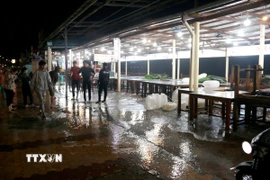 Hiện trường vụ tai nạn. (Ảnh: CTV - TTXVN)