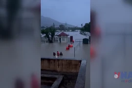 Gia Lai: Di dời 1.246 hộ dân và 4.270 lượt người dân tránh lũ lụt