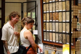 Du khách tham quan tịa 