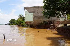 Nhiều ngôi nhà của người dân ở xã Tân Long (tỉnh Đồng Tháp) bị sạt lở xuống sông Tiền. (Ảnh: Nhựt An/TTXVN)