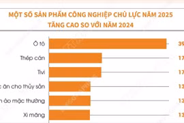 Năm 2025, chỉ số sản xuất công nghiệp tăng 9,2% 