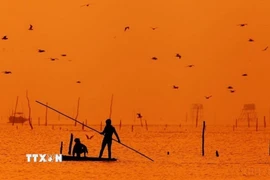 Hoàng hôn trên biển Giao Hải, thuộc vùng đệm Vườn Quốc gia Xuân Thủy. (Ảnh: Lâm Khánh/TTXVN)