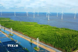 Cánh đồng điện gió Cà Mau. (Ảnh: Chanh Đa/TTXVN)