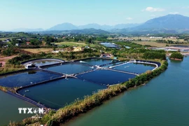 Vùng nuôi trồng thủy sản tại xã Đường Hoa (Quảng Ninh). (Ảnh: Đức Hiếu/TTXVN)