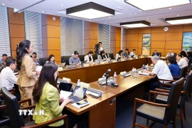 Đoàn đại biểu Quốc hội tỉnh Cà Mau và tỉnh Bắc Ninh thảo luận ở tổ. (Ảnh: Doãn Tấn/TTXVN)