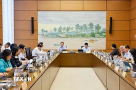 Chủ tịch Quốc hội Trần Thanh Mẫn, đại biểu Quốc hội thành phố Cần Thơ phát biểu. (Ảnh: Doãn Tấn/TTXVN)