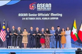 Các đại biểu tại Hội nghị quan chức cấp cao ASEAN. (Ảnh: Viên Luyến/TTXVN)