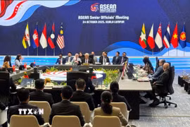 Quang cảnh Hội nghị quan chức cấp cao ASEAN. (Ảnh: Viên Luyến/TTXVN)