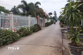 Đường giao thông nông thôn tại Cà Mau được bêtông hóa. (Ảnh: Tuấn Kiệt/TTXVN)