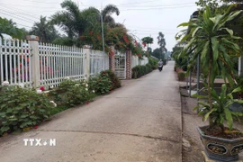 Đường giao thông nông thôn tại Cà Mau được bêtông hóa. (Ảnh: Tuấn Kiệt/TTXVN)