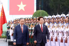 Tổng Bí thư, Chủ tịch nước Tô Lâm và Tổng thống Hàn Quốc Lee Jae Myung duyệt Đội danh dự Quân đội nhân dân Việt Nam. (Ảnh: Thống Nhất/TTXVN)