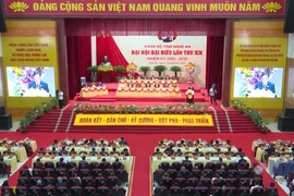 Khai mạc Đại hội đại biểu Đảng bộ tỉnh Nghệ An lần thứ XX 
