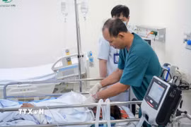 Ảnh minh họa. (Ảnh: TTXVN phát)