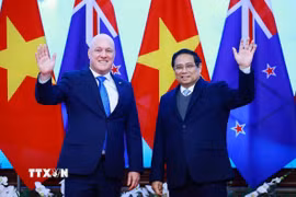 Thủ tướng Phạm Minh Chính và Thủ tướng New Zealand Christopher Luxon hội đàm. (Ảnh: Dương Giang/TTXVN)