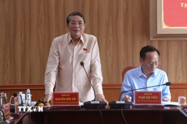 Phó Chủ tịch Quốc hội Nguyễn Đức Hải phát biểu tại buổi giám sát. (Ảnh: Tuấn Phi/TTXVN)