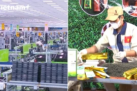 Kinh tế tư nhân - Lực lượng cần thiết xây dựng kinh tế nước nhà