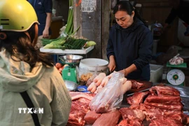 (Ảnh minh họa. Hoàng Hiếu/TTXVN)