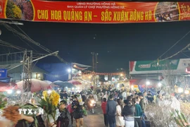 Chợ hoa Quảng An đông đúc những ngày giáp Tết. (Ảnh: Nguyễn Cúc/TTXVN)