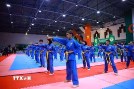 Ảnh minh họa. (Ảnh: Dương Giang/TTXVN)
