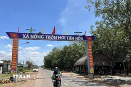 Xã biên giới Tân Hoà là xã Nông thôn mới, kinh tế chủ yếu là nông nghiệp trồng cây cao su, cây mì (sắn). (Ảnh: Đức Hạnh/TTXVN)