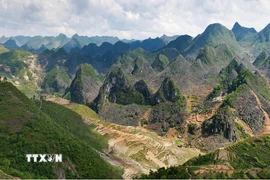Cao nguyên đá Đồng Văn. (Ảnh: TTXVN phát)