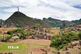 Cao nguyên đá Đồng Văn. (Ảnh: TTXVN phát)