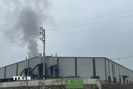 Công ty trách nhiệm hữu hạn ngành gỗ MERIDA vẫn thản nhiên hoạt động, xả khói ra môi trường. (Ảnh: Đinh Thùy/ TTXVN)
