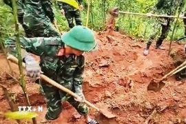 Các hài cốt được tìm thấy tại khu vực rừng tràm của một hộ dân ở thôn Trại Cá, xã Đakrông, tỉnh Quảng Trị. (Ảnh: TTXVN phát)