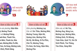 Bầu cử Quốc hội và HĐND: 3 đơn vị bầu cử của tỉnh Điện Biên