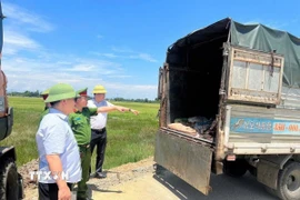 Lực lượng chức năng Hà Tĩnh kiểm tra, phát hiện và thu giữ hơn 1 tấn lòng, mỡ, da trâu bò không rõ nguồn gốc xuất xứ, bốc mùi hôi trên xe tải. (Ảnh: TTXVN phát)