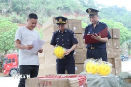 Lực lượng Hải quan cửa khẩu Cốc Nam (Lạng Sơn) tra soát mã, chủng loại hàng nhập khẩu qua cửa khẩu. (Ảnh: Quang Duy/TTXVN)