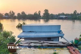 Vụ sạt lở đất tại xã Nguyễn Huân, huyện Đầm Dơi đã làm thiệt hại hoàn toàn 8 căn nhà của người dân. (Ảnh: TTXVN phát)