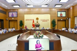 Sáng 6/6/2025, tại Nhà Quốc hội, Ủy ban Thường vụ Quốc hội xem xét, thông qua: Nghị quyết của Ủy ban Thường vụ Quốc hội quy định việc thực hiện công tác quản lý cán bộ đối với đại biểu Quốc hội hoạt động chuyên trách. (Ảnh: Doãn Tấn/TTXVN)