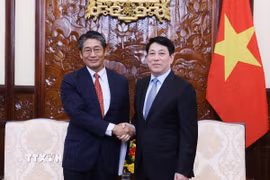 Chủ tịch nước Lương Cường tiếp Đại sứ Nhật Bản tại Việt Nam Ito Naoki. (Ảnh: Lâm Khánh/TTXVN)