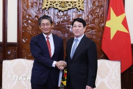 Chủ tịch nước Lương Cường tiếp Đại sứ Nhật Bản tại Việt Nam Ito Naoki. (Ảnh: Lâm Khánh/TTXVN)