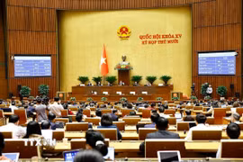 Quốc hội biểu quyết thông qua Nghị quyết về kết quả giám sát chuyên đề “Việc thực hiện chính sách, pháp luật về bảo vệ môi trường kể từ khi Luật Bảo vệ môi trường năm 2020 có hiệu lực thi hành”. (Ảnh: Doãn Tấn/TTXVN)