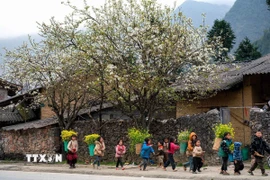 Vẻ đẹp của vùng Cao nguyên đá Đồng Văn. (Ảnh: Khánh Hòa/TTXVN)