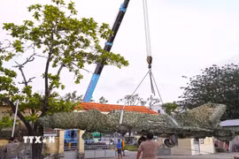 Chiếc máy bay tiêm kích MiG-21 được di dời thành công từ vị trí cũ tại đường Nguyễn Trãi, phường An Xuyên, về trụ sở Bộ Chỉ huy Quân sự tỉnh Cà Mau, đường 3/2, phường Tân Thành. (Ảnh: Huỳnh Anh/TTXVN)