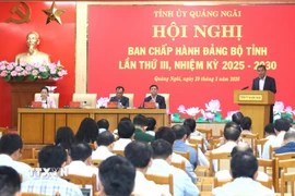 Quang cảnh hội nghị Ban Chấp hành Đảng bộ tỉnh Quảng Ngãi lần thứ 3. (Ảnh: Đinh Hương/TTXVN)