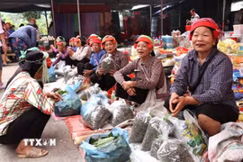 Tại những dãy bán sản vật đồng quê không khí luôn vui tươi và nhộn nhịp và mang đậm hồn quê. (Ảnh: Đức Thọ/TTXVN)