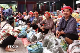 Tại những dãy bán sản vật đồng quê không khí luôn vui tươi và nhộn nhịp và mang đậm hồn quê. (Ảnh: Đức Thọ/TTXVN)