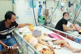 Bệnh nhi mắc tay chân miệng đang được điều trị tại Bệnh viện Nhi đồng 2 Thành phố Hồ Chí Minh. (Ảnh: Đinh Hằng/TTXVN)